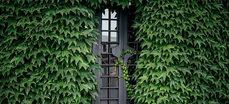 Garden Gate Repair in Palm Coast, FL