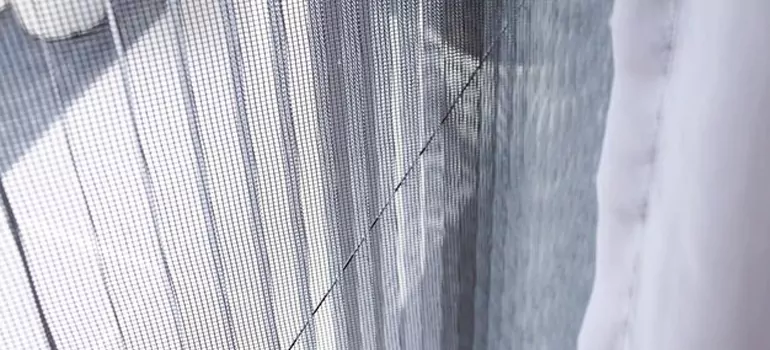 Fixing Screen Window Mesh in Palm Coast, FL