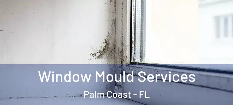  Window Mould Services Palm Coast - FL